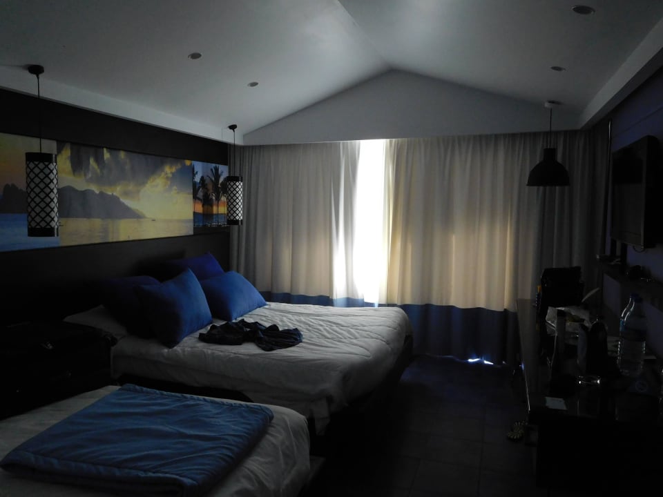 4006 Sentido Phenicia