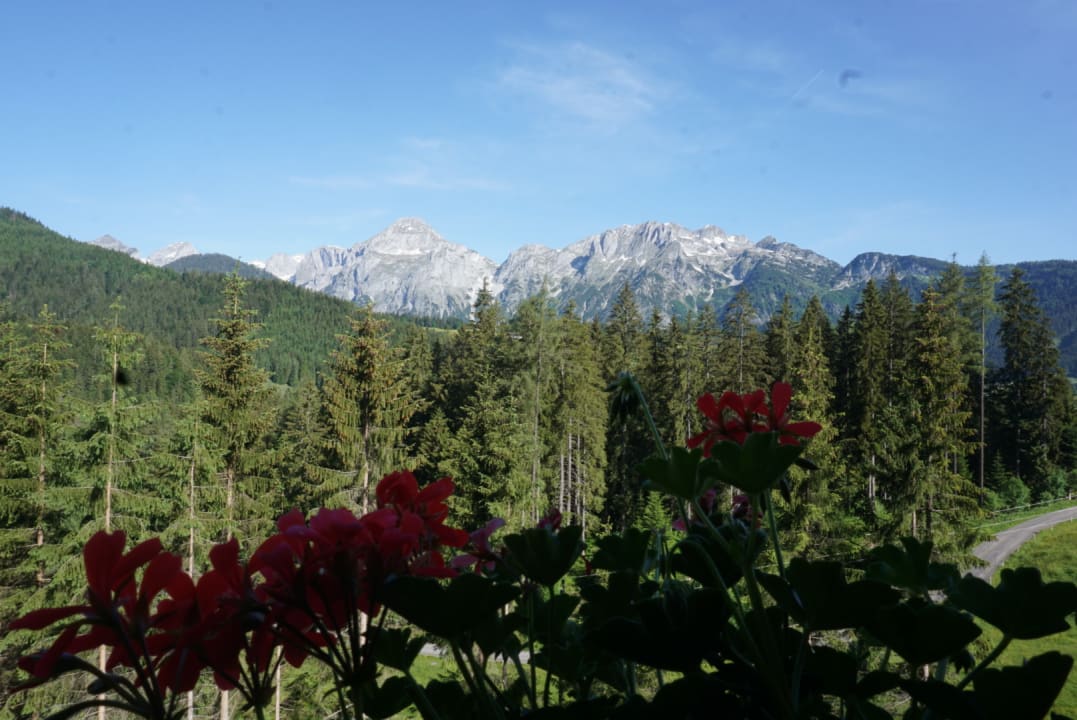 Zimmer Chalets Almidylle