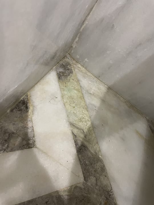 Zimmer Balmy Foresta