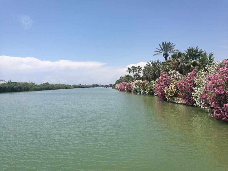 Gartenanlage Gloria Golf Resort