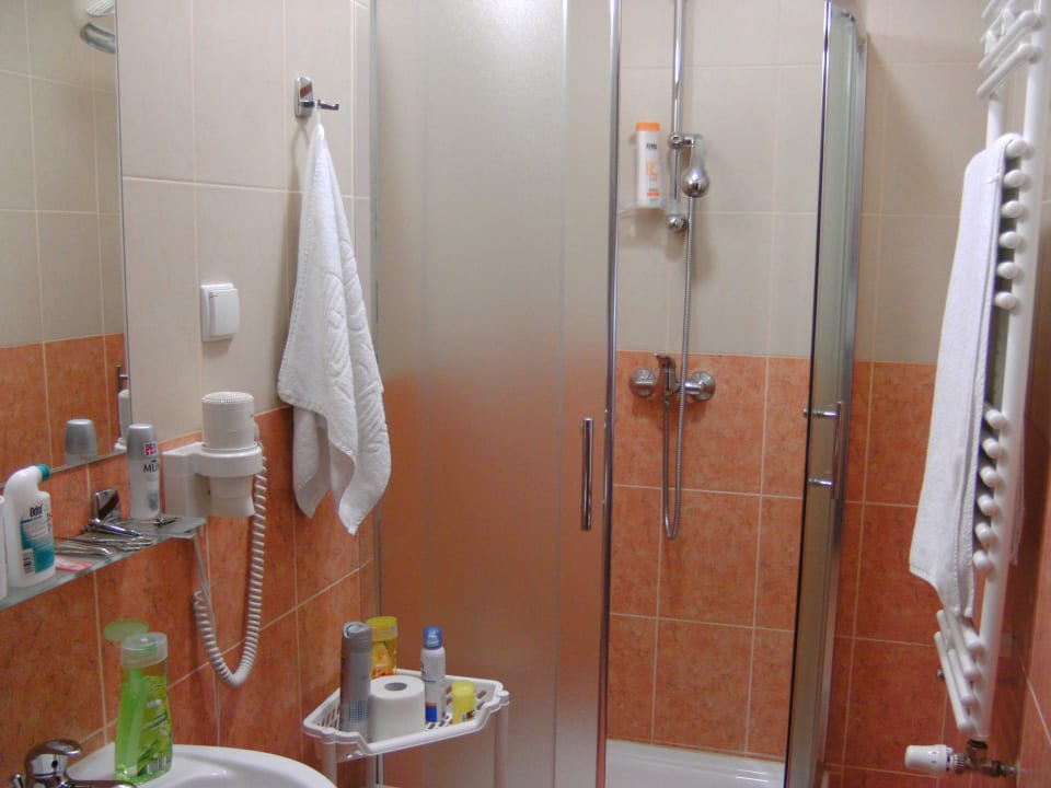 Die Dusche und das Waschbecken Kurhotel Haus Grunwald