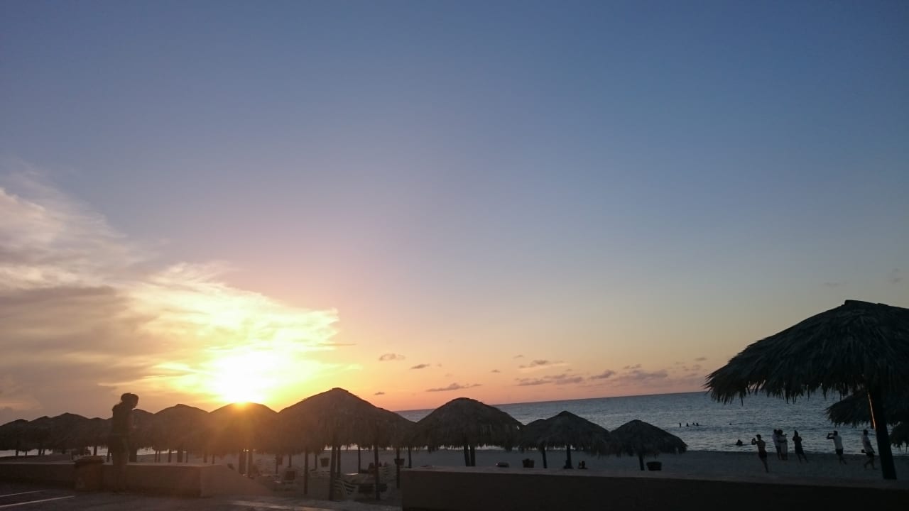 Strand Starfish Cuatro Palmas