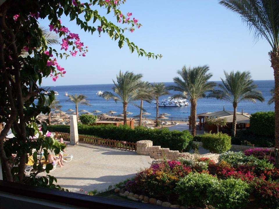 Blick vom Balkon Hotel Continental Garden Reef Resort