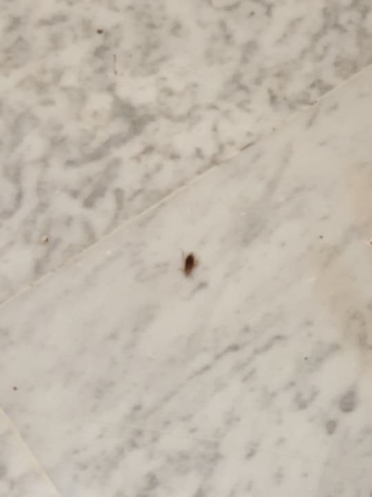 Sonstiges H10 Playa Esmeralda - Adults only