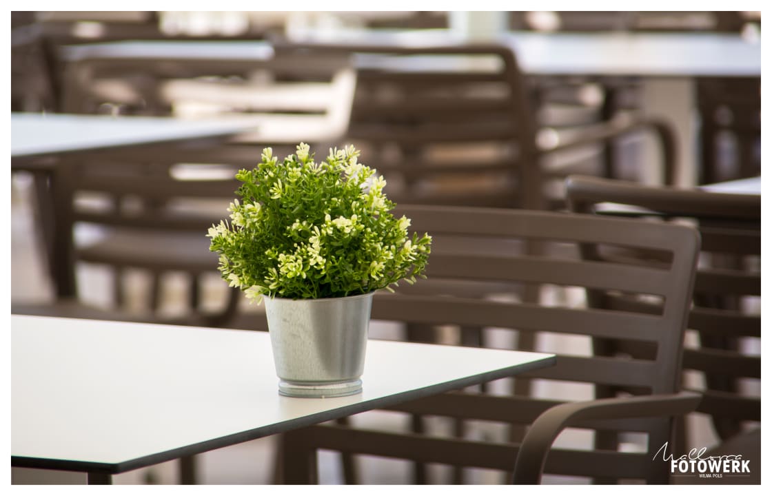 Restaurant HSM Regana - Adults Only