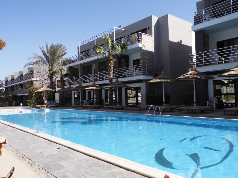 Einer der Pools im Premium-Bereich Seagull Beach Resort