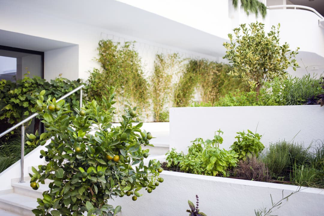 Gartenanlage Hapimag Resort Marbella