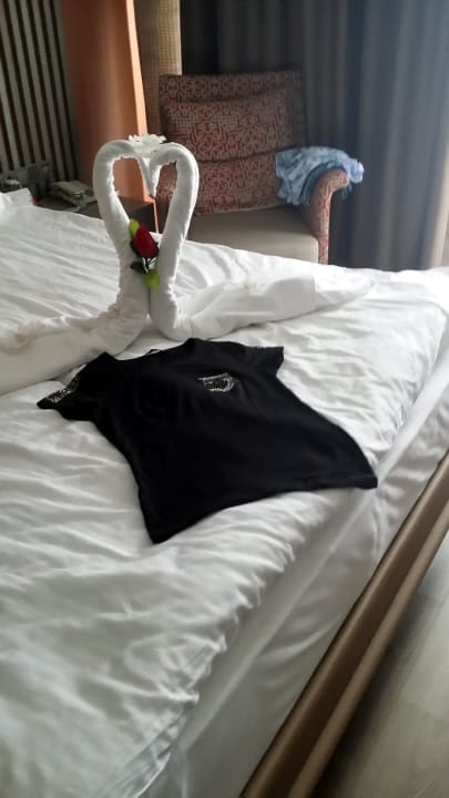 Kreative Putzteufel (gerne 1, 2 € tgl.) Arycanda Kirman Premium