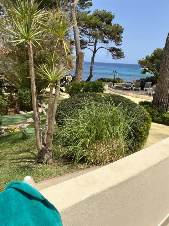 Gartenanlage Iberostar Waves Pinos Park