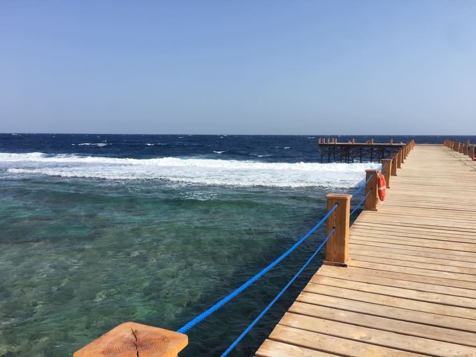 Strand Pickalbatros Sea World Resort - Marsa Alam