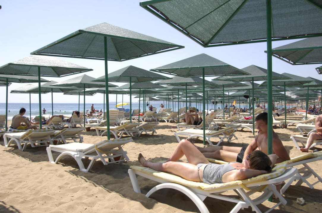 Strand Lioness My Home Sky Hotel