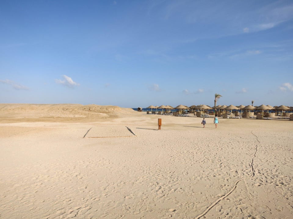 Weitläufiger Privatstrand, aber muschelig Hilton Marsa Alam Nubian Resort