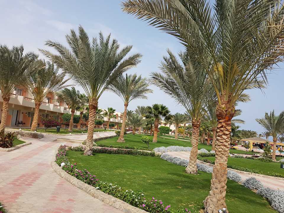 Gartenanlage Three Corners Sea Beach Resort