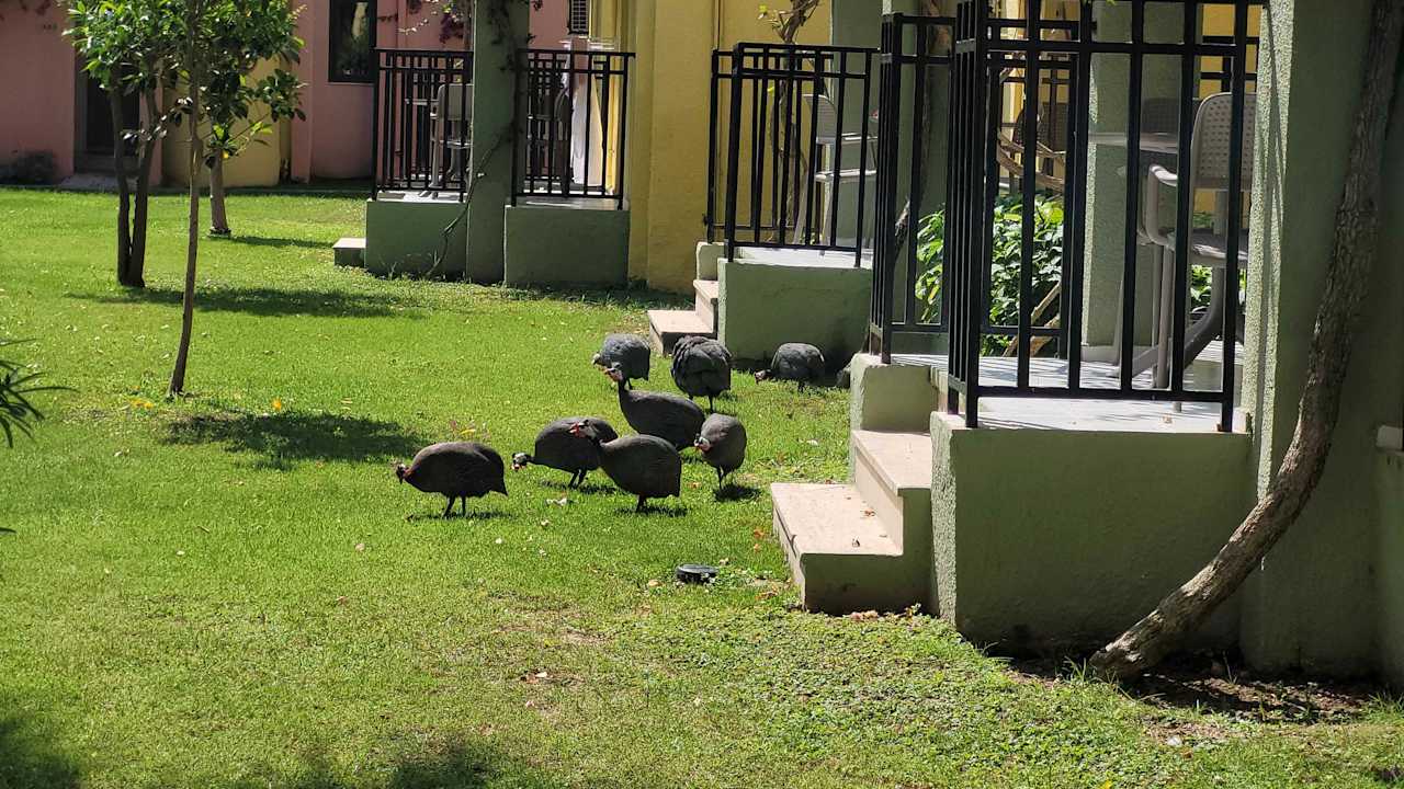 Gartenanlage VONRESORT Golden Beach