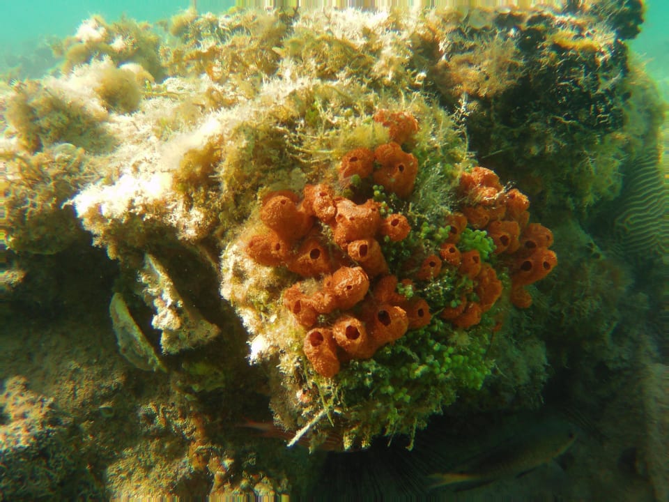 Strand Steigenberger Aqua Magic