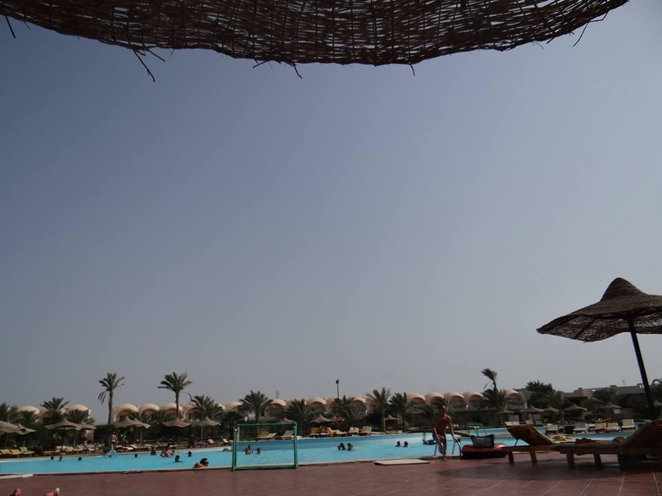 Vue piscine depuis le transat Three Corners Sea Beach Resort