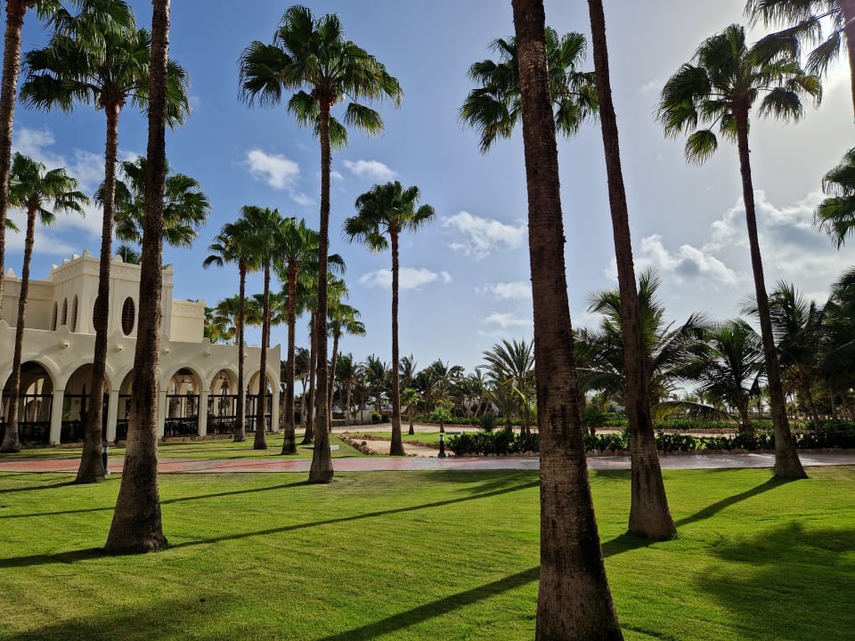 Gartenanlage Hotel Riu Karamboa