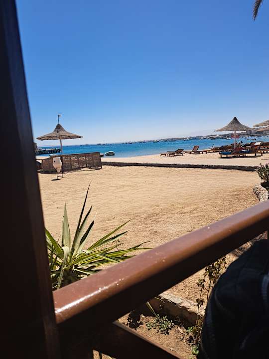 Zimmer Giftun Azur Resort