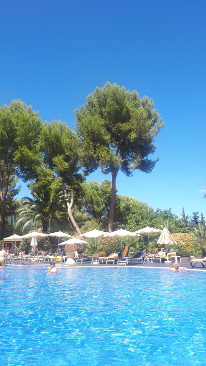 Pool Ona Palmira Paguera