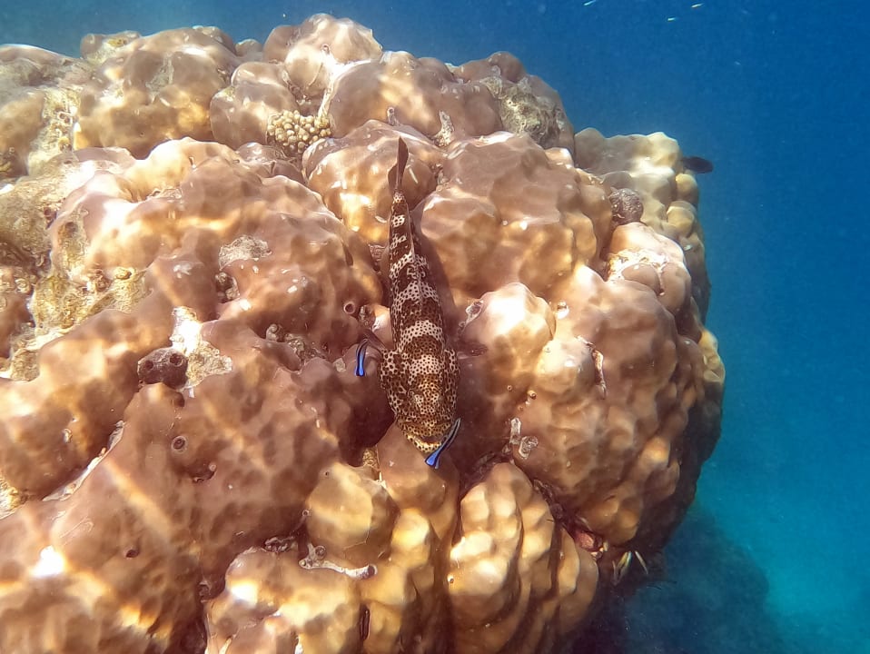 Sport & Freizeit Adaaran Club Rannalhi - All Inclusive