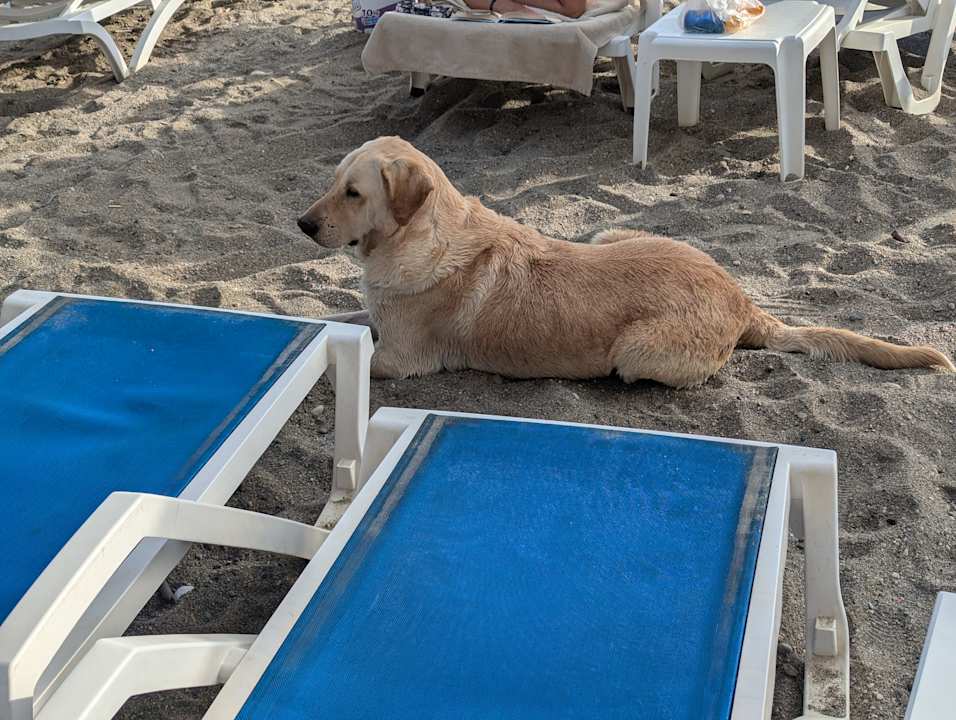 Strand Palmeras Beach Hotel