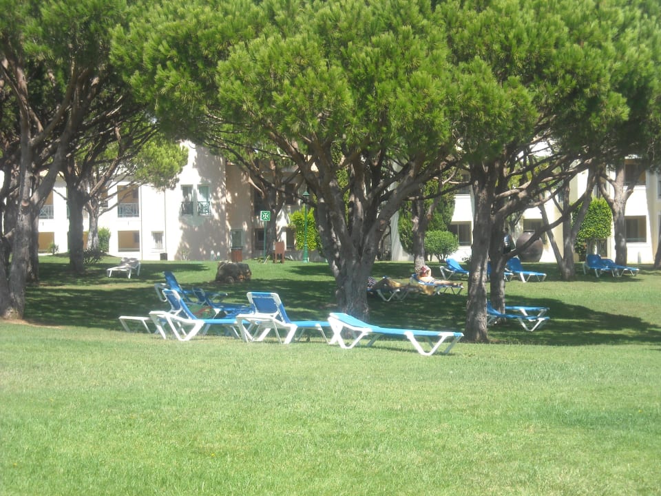 Tuin tussen de bungalows AP Adriana Beach Resort