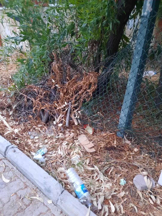 Sonstiges Alexius Beach Hotel