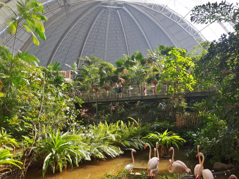 Gartenanlage Tropical Islands Resort