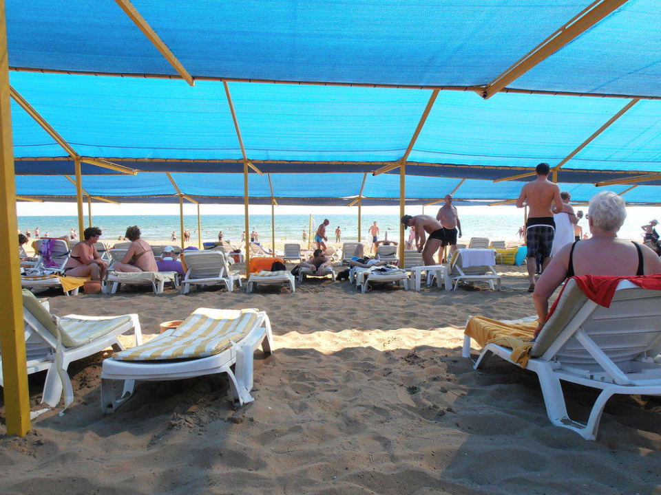 Liegen am Strand Hotel Orfeus Park