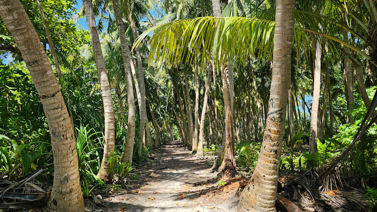 Gartenanlage Fehi Velaa Stay