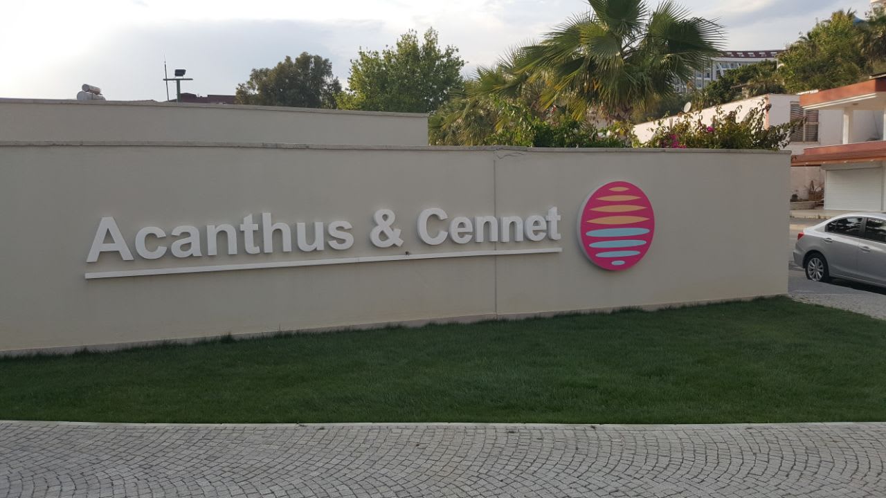 Lobby Acanthus Cennet Barut Collection