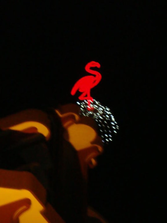 Bei Nacht  Hotel Flamingo