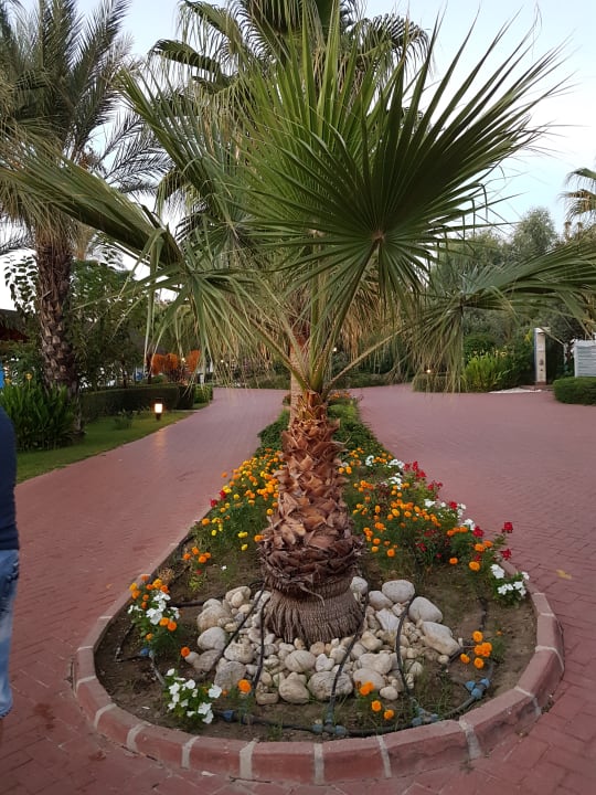 Gartenanlage Sunis Elita Beach Resort & Spa