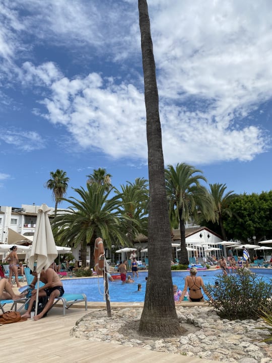 Pool Alcudia Garden Aparthotel