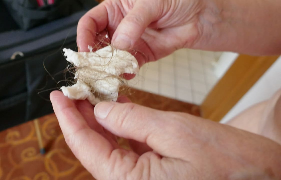 Zimmer Hotel Zum Ochsen