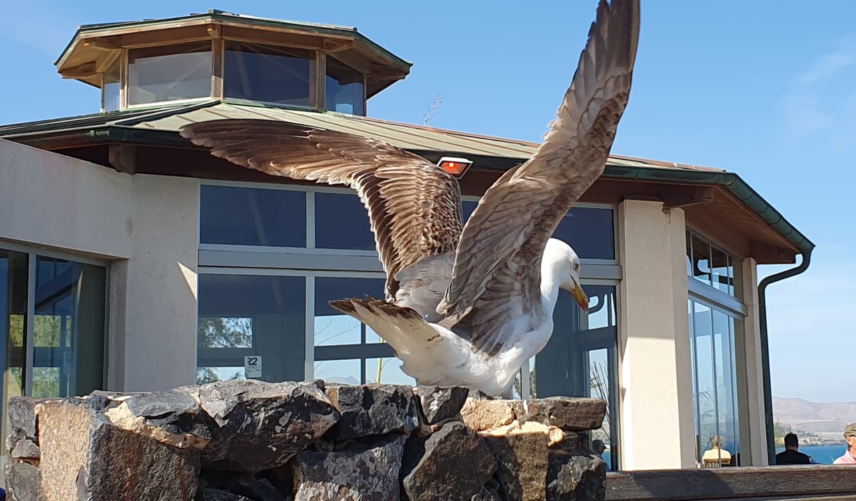 Gartenanlage R2 Pajara Beach