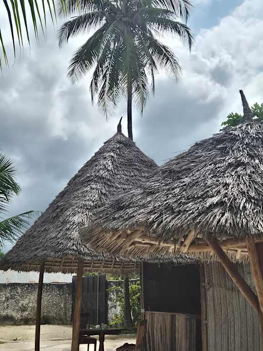 Gartenanlage Isla Bonita Zanzibar Beach Resort