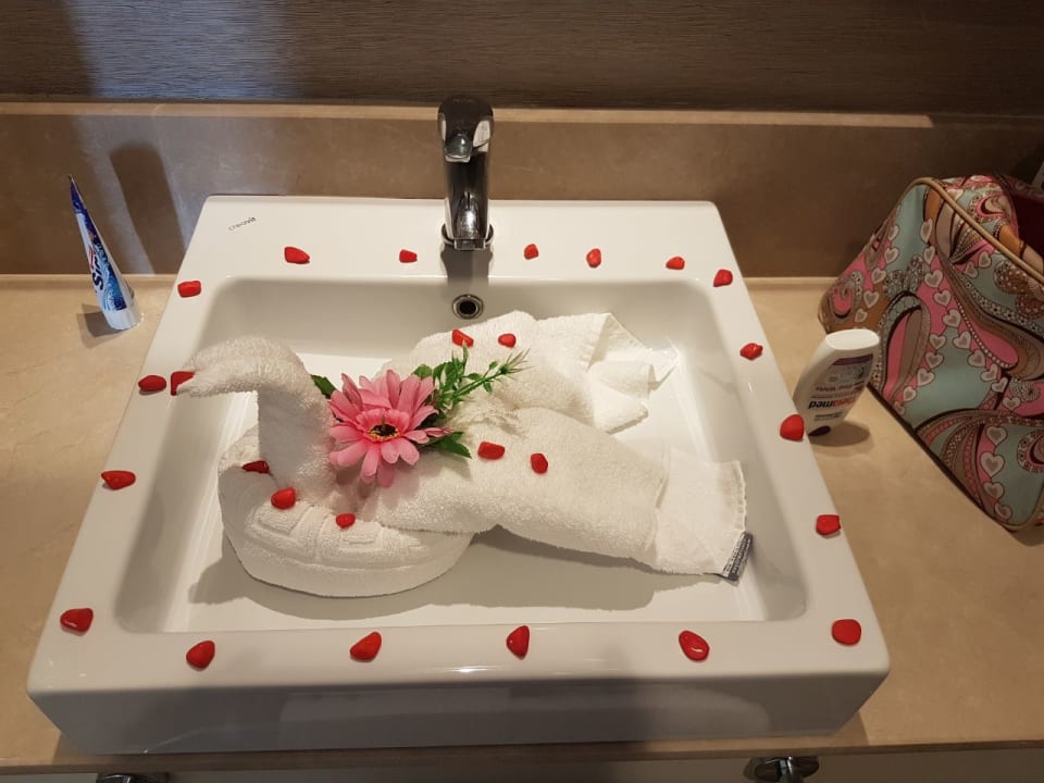 Zimmer Well Palace Side