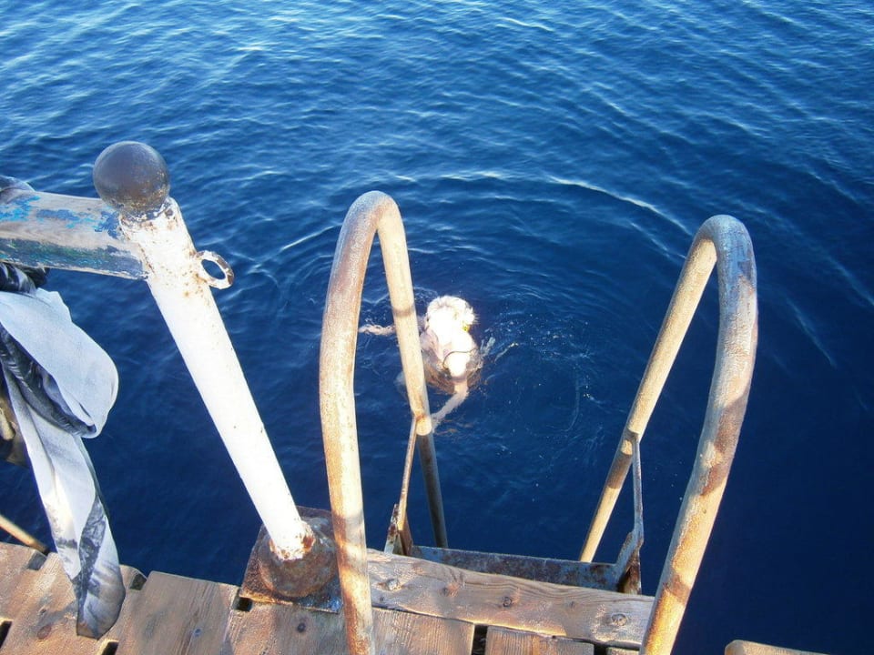 Замечательный отдых Charmillion Sea Life Resort