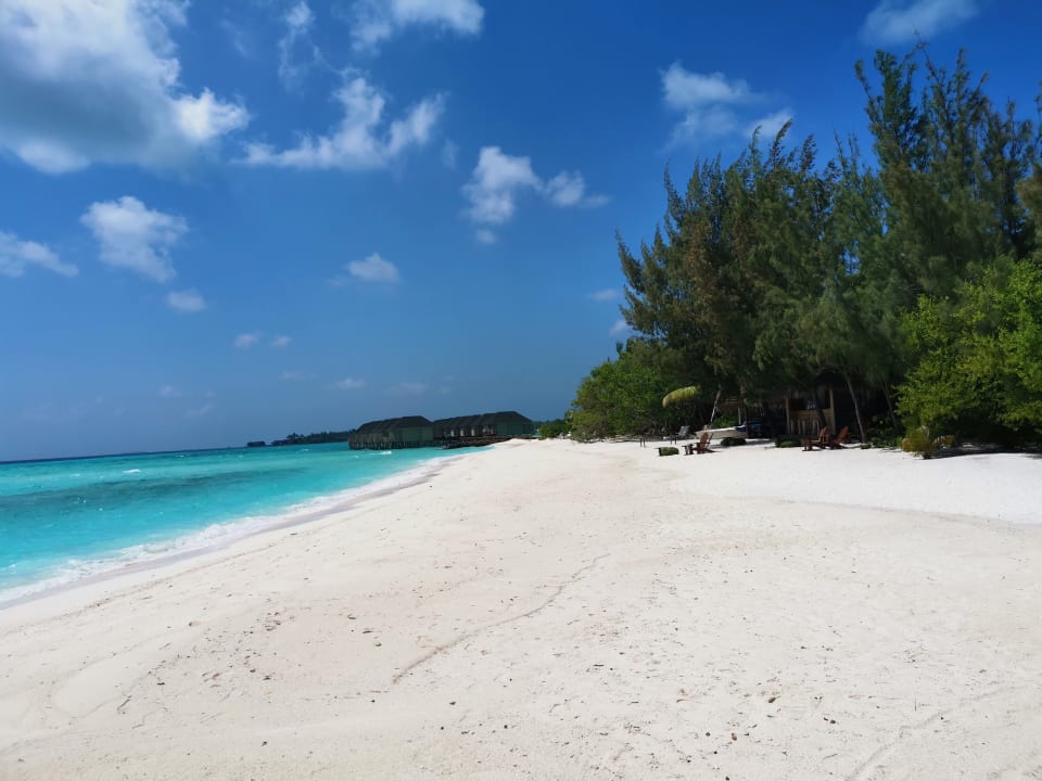 Strand Summer Island Maldives
