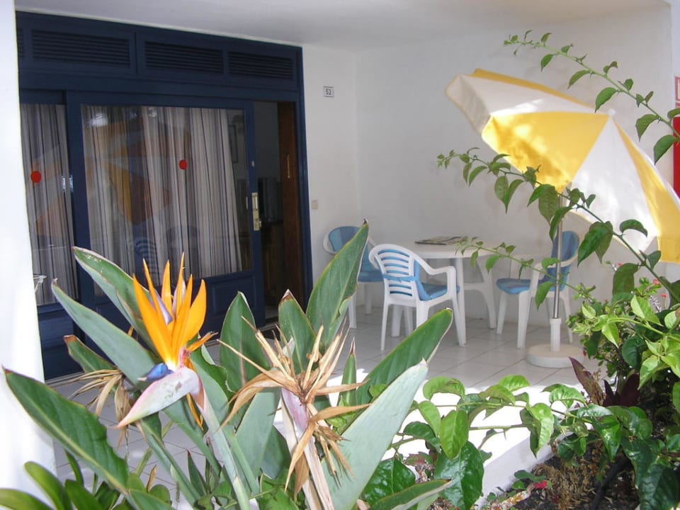 Große Terrasse mit Gartenmöbel und Wäscheständer Bungalows & Appartements Playamar