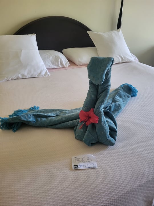Zimmer Paradisus Princesa del Mar Resort & Spa - Adults only