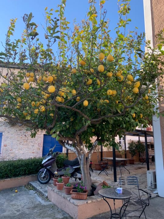 Gartenanlage Pension Hirolakas