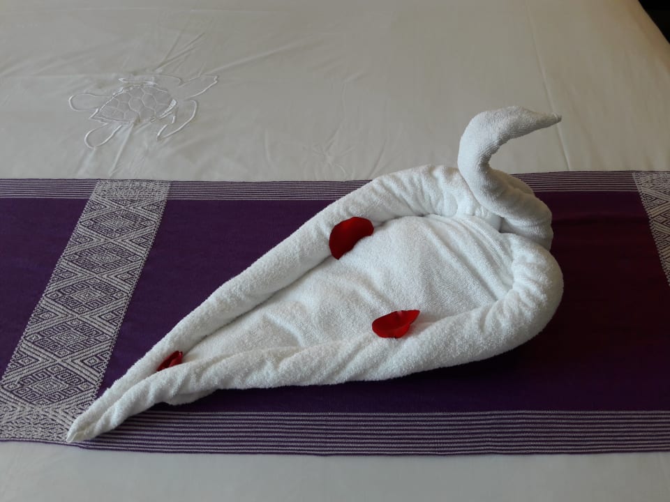 Zimmer Akumal Bay Beach & Wellness Resort