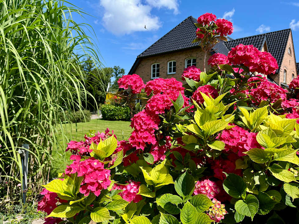 Außenansicht Ferienbauernhof Liesenberg mit Meerblick