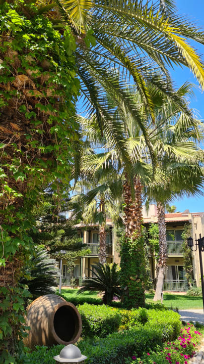 Gartenanlage Paloma Oceana