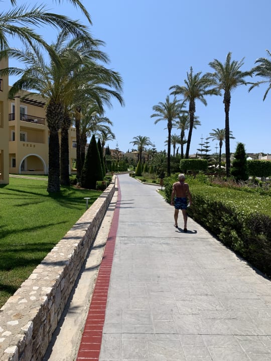 Gartenanlage Hotel Horizon Beach Resort