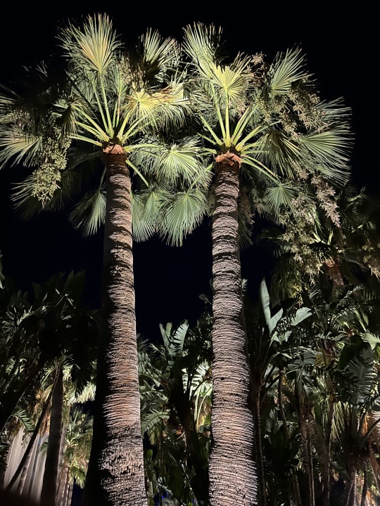 Außenansicht Calimera Sirens Beach