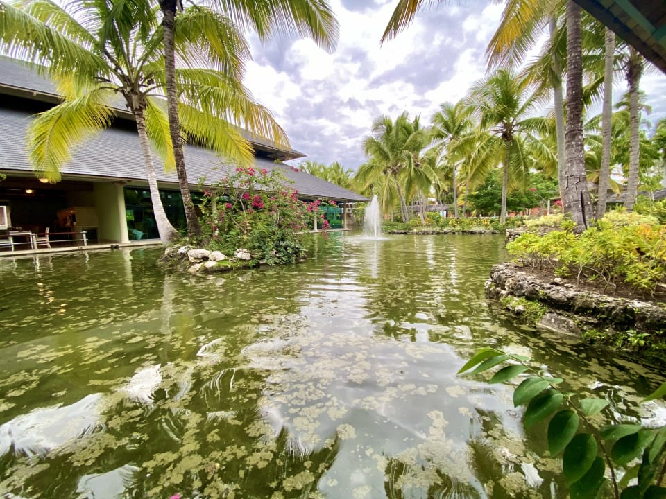 Gartenanlage Iberostar Selection Coral Bávaro