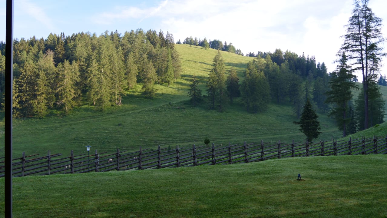 Ausblick Almwellness Hotel Pierer